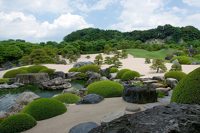 Vườn mai bonsai phong cách Nhật Bản