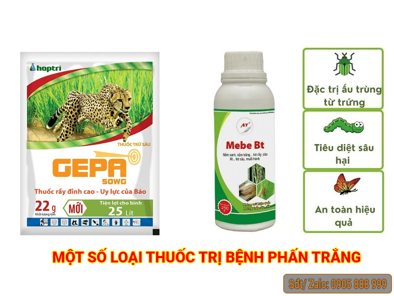 Sử dụng 50g thuốc Ditarex + 100ml nước rửa chén để trị bệnh hiệu quả.