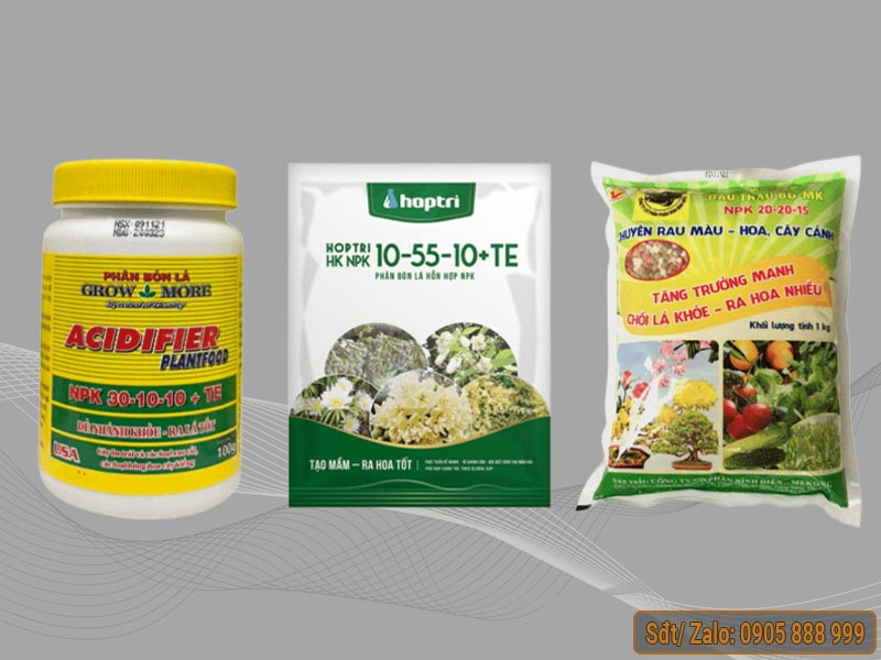 Bón các loại phân NPK giúp cây mai sinh trưởng, phục hồi và giữ cho lá luôn xanh tươi
