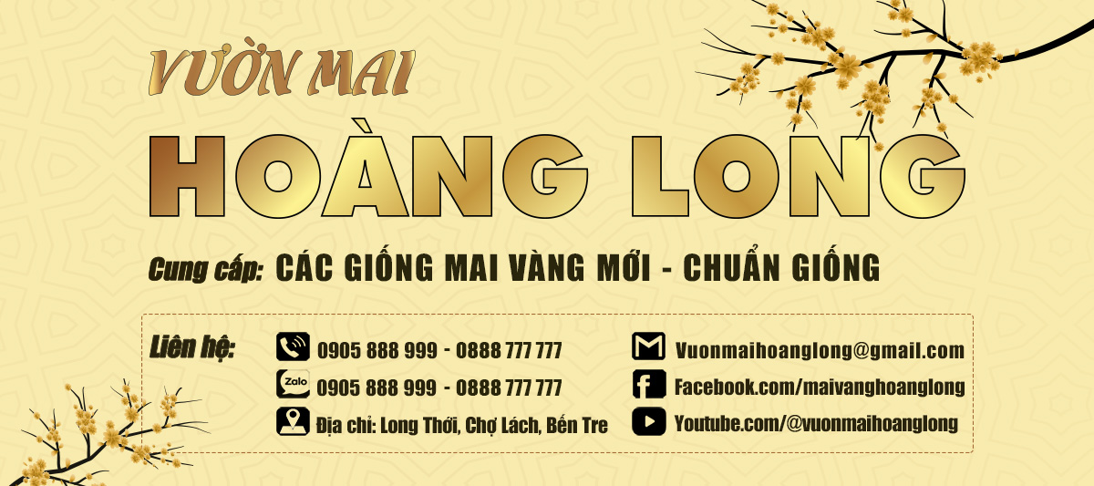 Thông tin liên hệ hoàng long