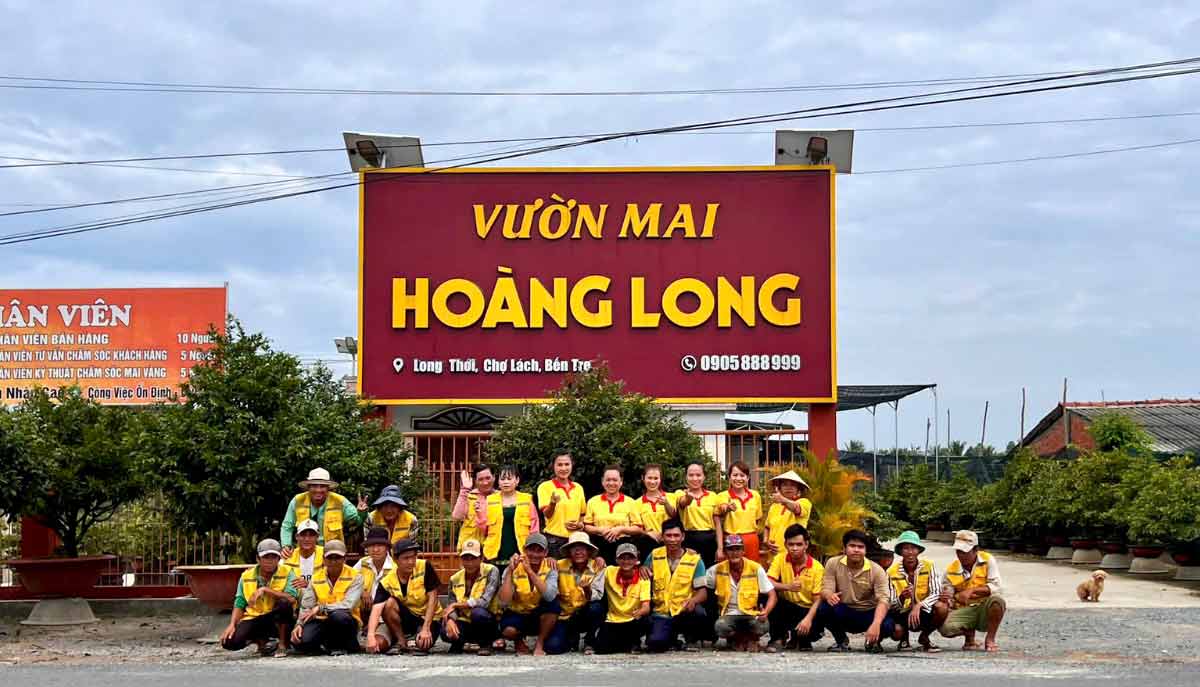 vườn mai hoàng long